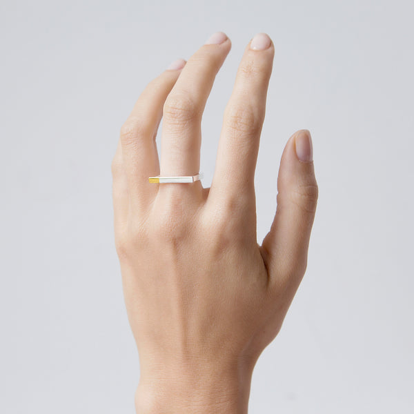 'So Magnetic' 18ct Gold & Silver Ring